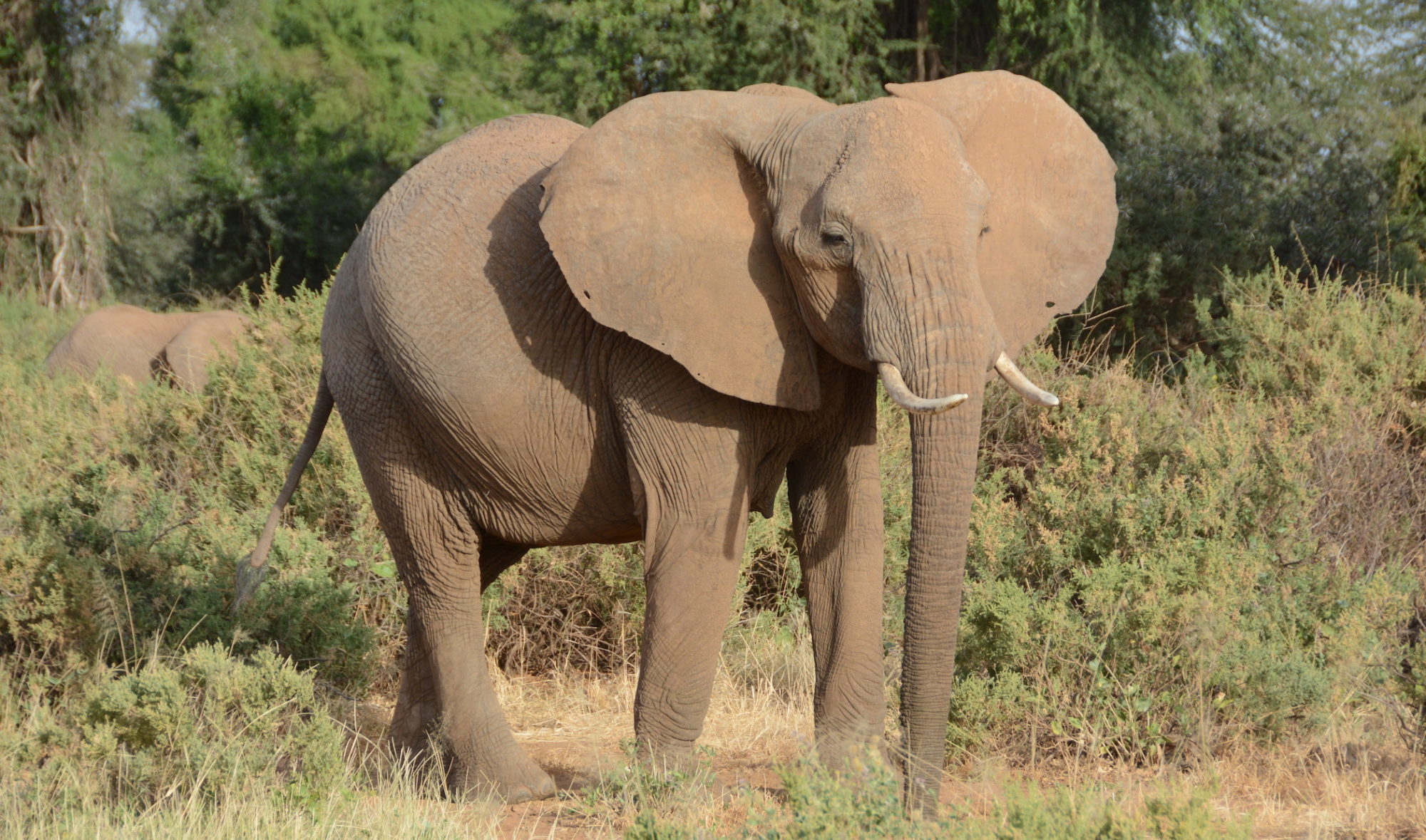 From Town Square to the Atomic Age Why Time Zones Exist Corners of